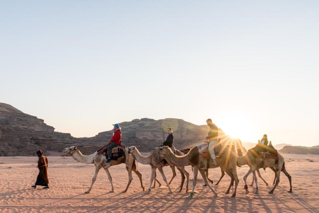 A Day in a Bedouin’s Life