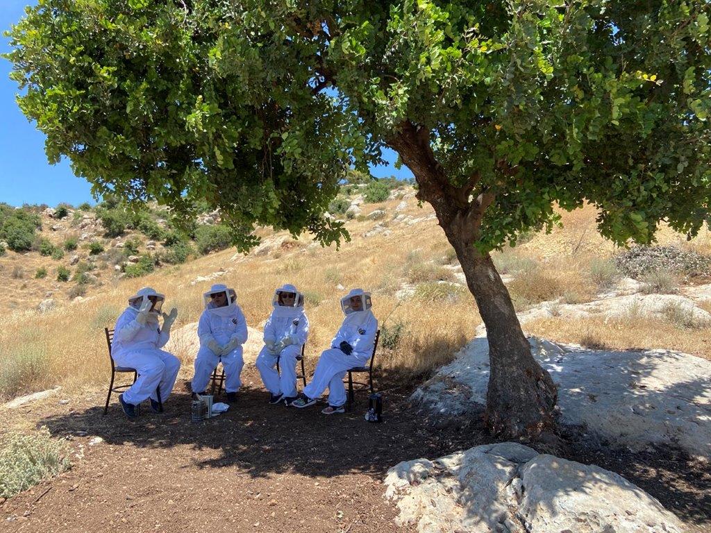 Beekeeping Experience