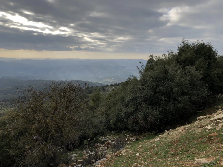  Dibeen National Park