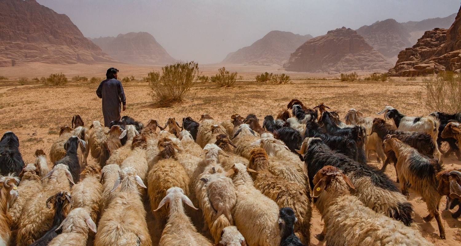 An Excursion with a Bedouin Shepherd 